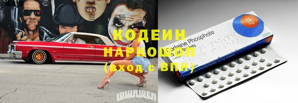 ECSTASY Бородино