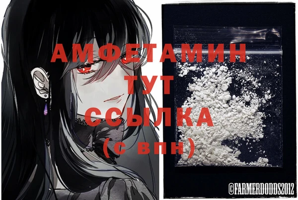 ECSTASY Бородино