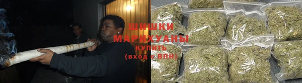 ECSTASY Бородино