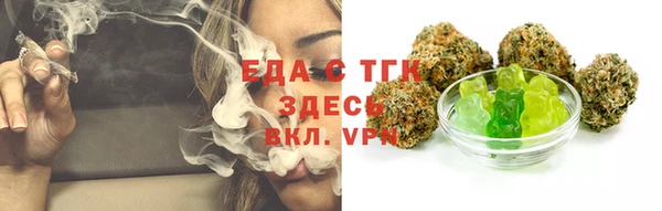 ECSTASY Бородино