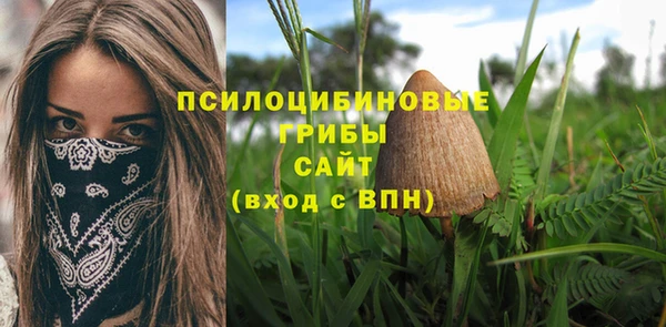 ECSTASY Бородино