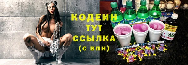 ECSTASY Бородино