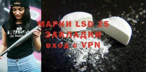 ECSTASY Бородино