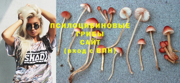 амф Бугульма