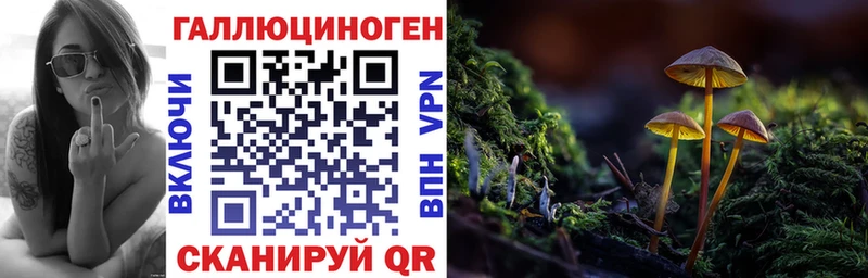 Галлюциногенные грибы Psilocybe  KRAKEN   Колпашево 